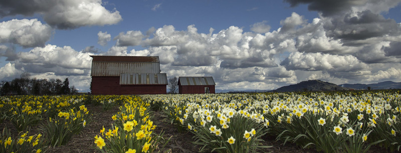 Image of Corvallis, Oregon