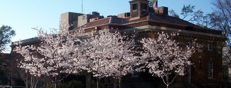 Image of Fayetteville-Springdale-Rogers, Arkansas