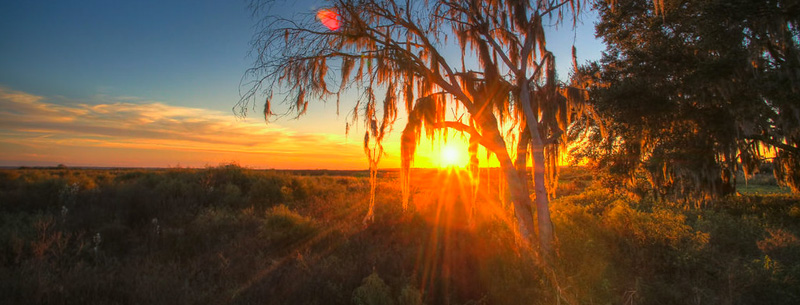 Image of Gainesville, Florida