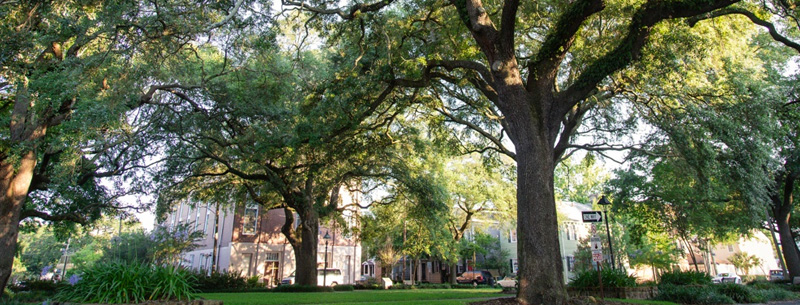 Image of Savannah, Georgia