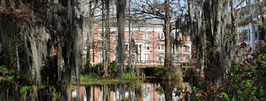 Image of Louisiana