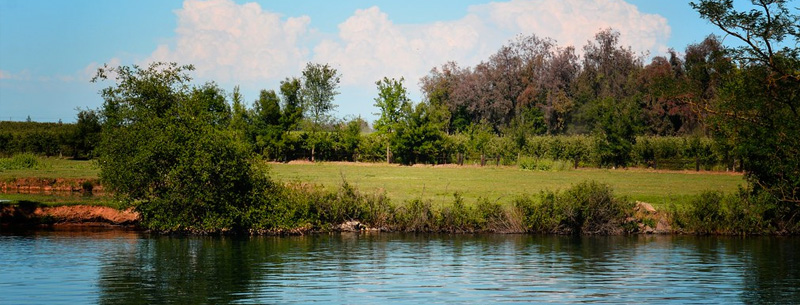 Image of Stockton-Lodi, California