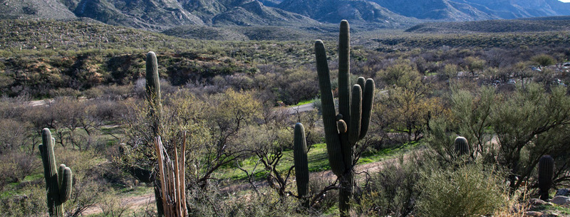 Image of Tucson, Arizona