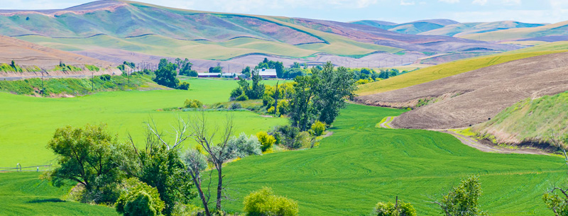 Image of Walla Walla, Oregon