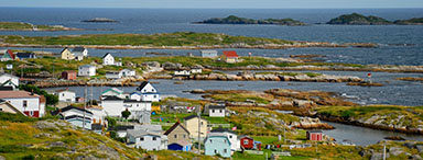 Image of Newfoundland